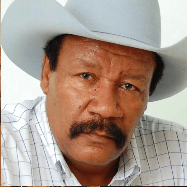 Imagem de História de João Mulato